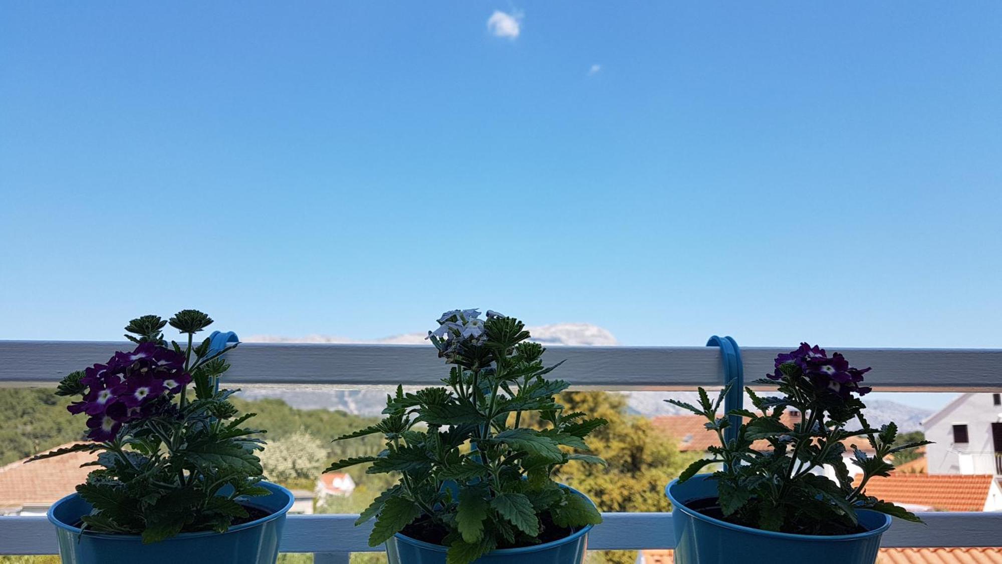 Apartman LUCIJA Korcula Town Bagian luar foto