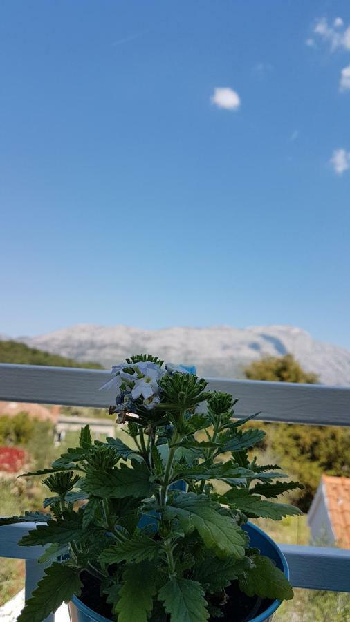 Apartman LUCIJA Korcula Town Bagian luar foto